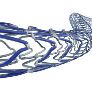 Ultimaster™ Sirolimus Eluting Coronary Stent System