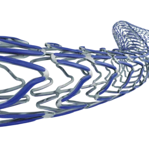 Ultimaster™ Sirolimus Eluting Coronary Stent System